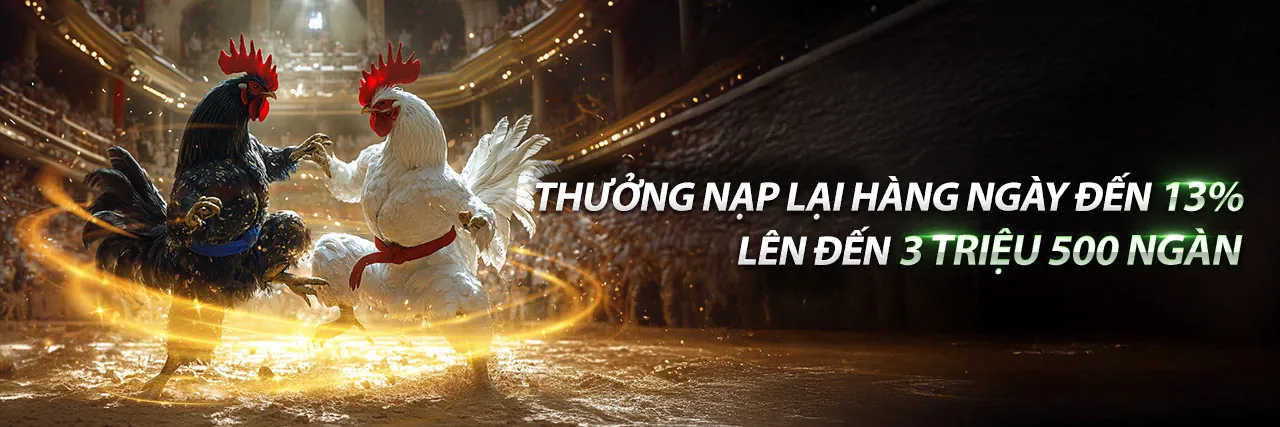Đá Gà Trực Tuyến KK88 Link Vào